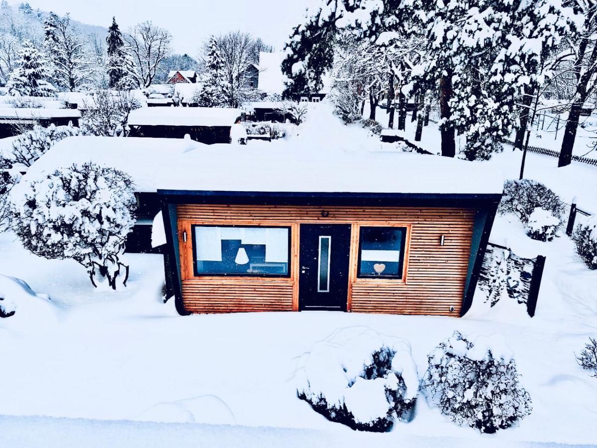 Das Ferienhaus Am Tiergarten Villa Wernigerode Exterior foto